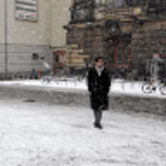 Meet your Posher, Logan - Picture 1 of 1